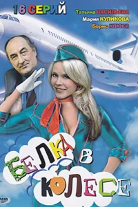 Белка в колесе Белка в колесе