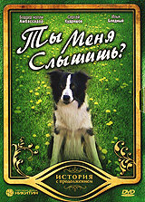 Ты меня слышишь? Ты меня слышишь?
