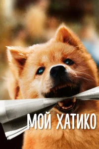 Мой Хатико Мой Хатико