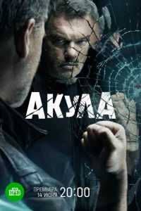 Акула Акула