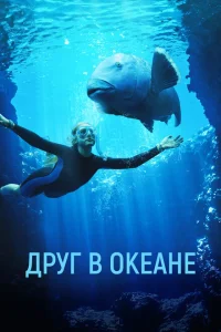Друг в океане Друг в океане