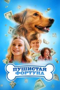 Пушистое состояние Пушистое состояние