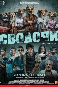 Сволочи Сволочи