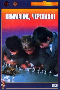 Внимание, черепаха! Внимание, черепаха!