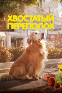 Хвостатый переполох Хвостатый переполох
