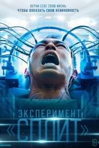 Множество Множество