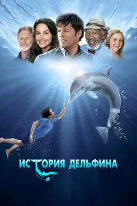 История дельфина История дельфина