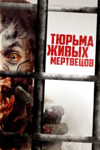 День 0 День 0