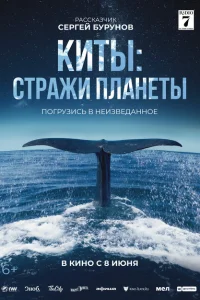 Киты: Стражи планеты Киты: Стражи планеты