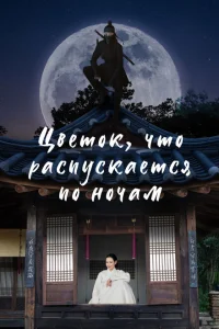 Ночной цветок Ночной цветок