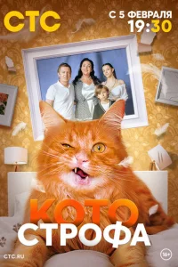 Котострофа Котострофа