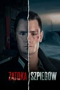 Шпионский залив Шпионский залив