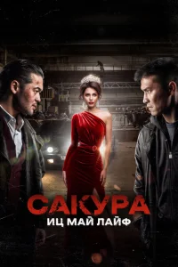 Сакура Сакура