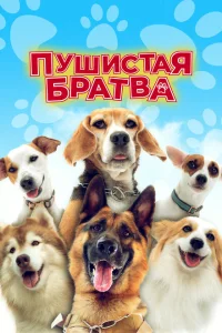 Пушистая братва Пушистая братва