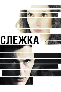 Слежка Слежка