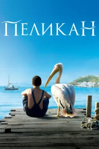 Пеликан Пеликан