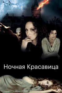 Ночная красавица Ночная красавица