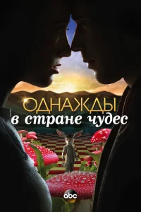 Однажды в стране чудес Однажды в стране чудес
