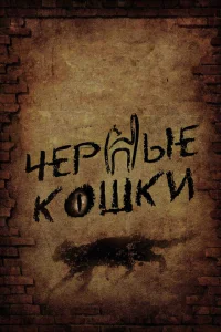 Черные кошки Черные кошки