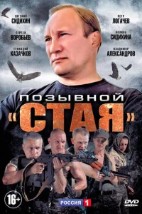 Позывной «Стая» Позывной «Стая»