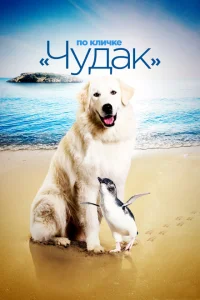 По кличке «Чудак» По кличке «Чудак»