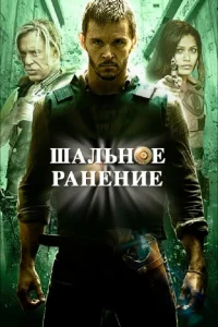 Шальное ранение Шальное ранение