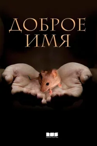 Доброе имя Доброе имя