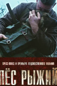 Пёс рыжий Пёс рыжий