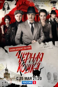 Чёрная кошка Чёрная кошка