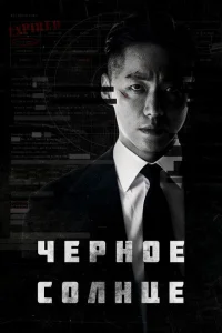 Чёрное солнце Чёрное солнце