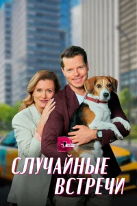 Случайные встречи Случайные встречи