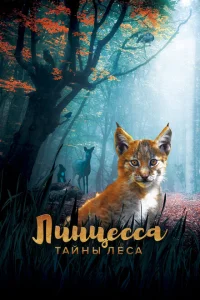 Линцесса. Тайны леса Линцесса. Тайны леса