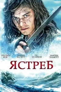 Ястреб Ястреб