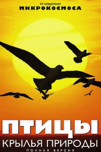 Птицы: Крылья природы Птицы: Крылья природы