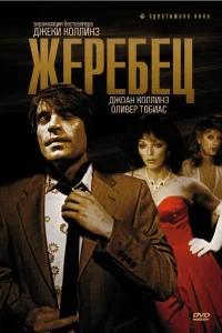 Жеребец Жеребец