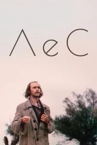 Лес Лес