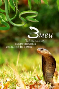 Змеи. Тайны самых смертоносных созданий на земле Змеи. Тайны самых смертоносных созданий на земле